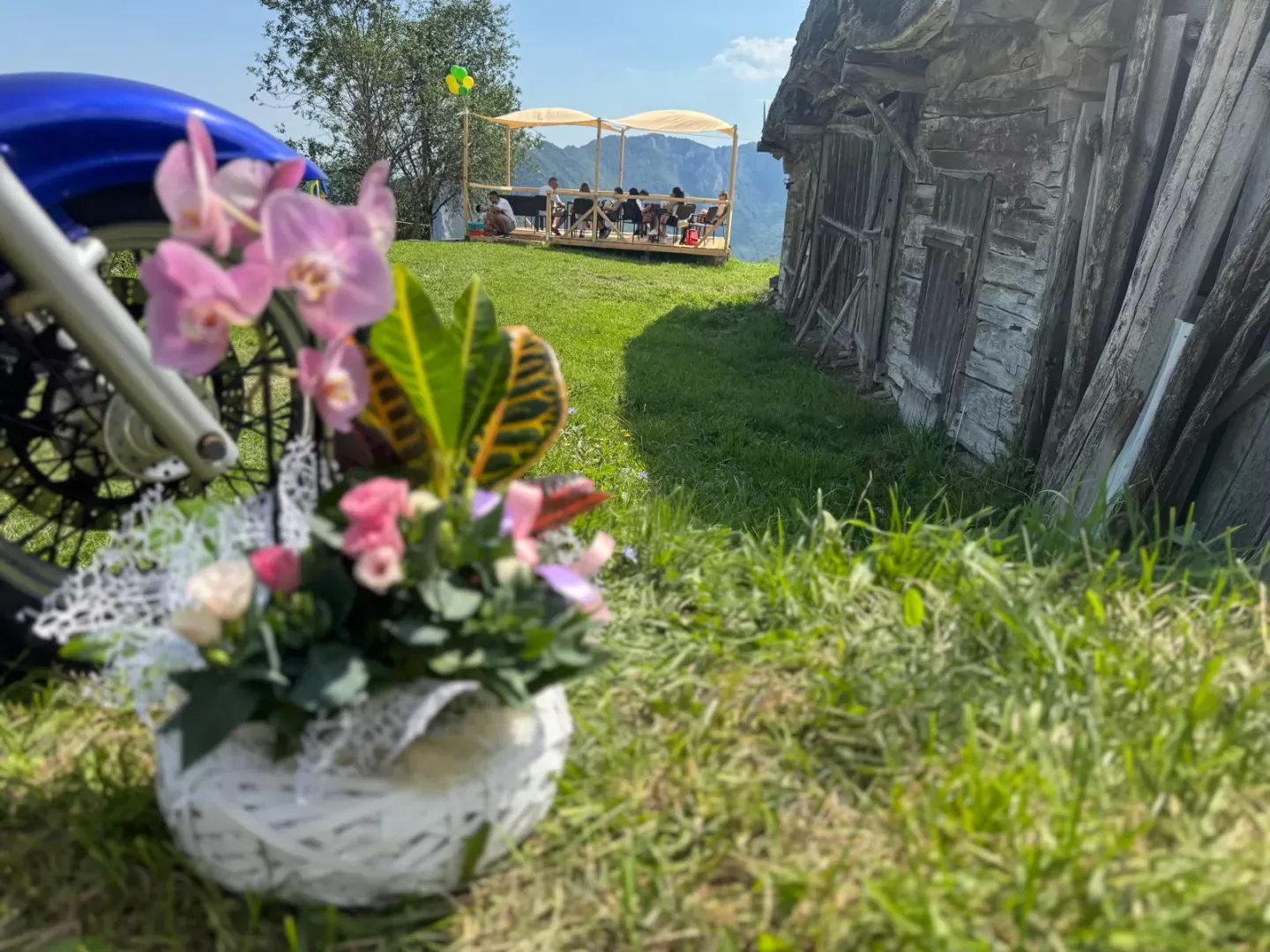 Vanzare Afacere la Cheie pe Transapuseana